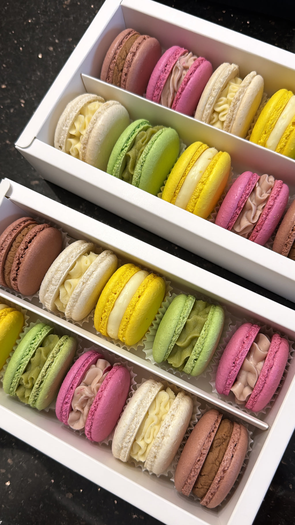 Signature Macaron Box