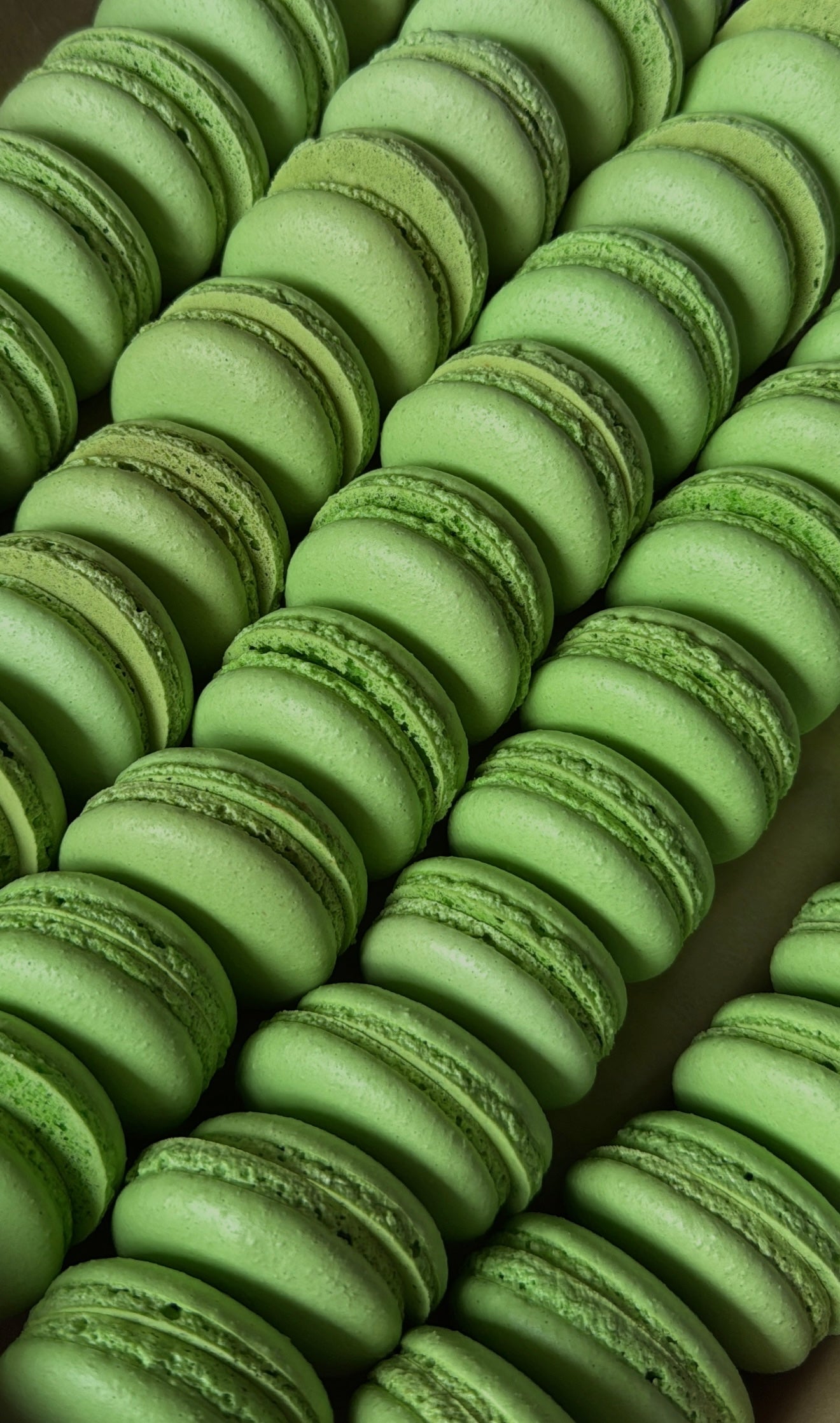 White Chocolate Pistachio Macaron