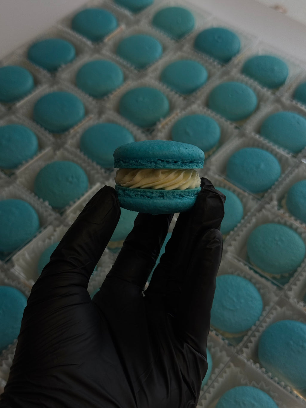 Create Your Custom Macaron